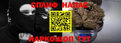 Альфа ПВП Моздок