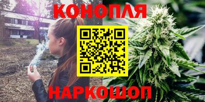 Альфа ПВП Моздок