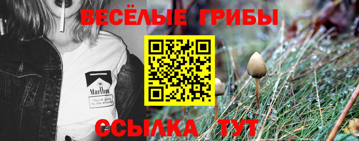 Псилоцибиновые грибы Psilocybine cubensis  Вход с VPN  наркотики  Томск 