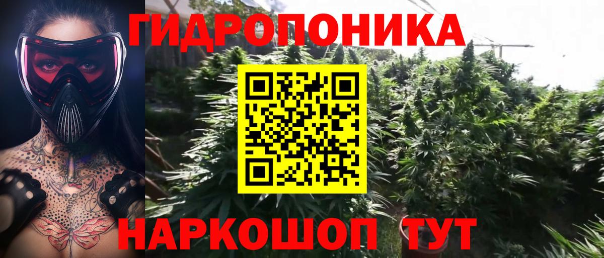 МАРИХУАНА Bruce Banner  Шишки марихуана планчик  Вход с VPN  Канабис план  МАРИХУАНА конопля  Томск 